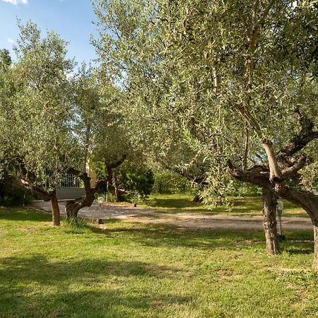 Elster-5 By Interhome Apartment Collecorvino